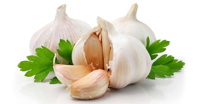 Garlic