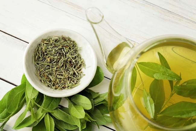 Green tea for weight lose