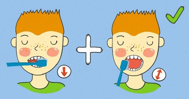 correct way brushing your teeth