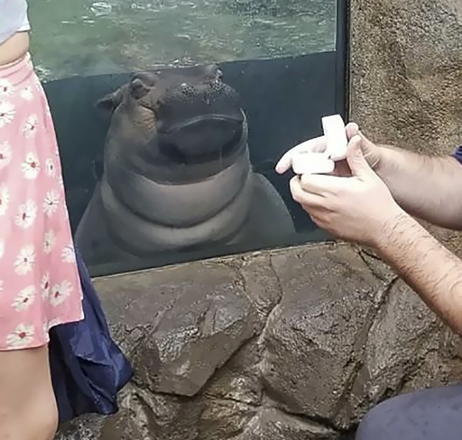 Happy Moment for the couple