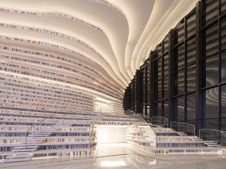 interior of the library 