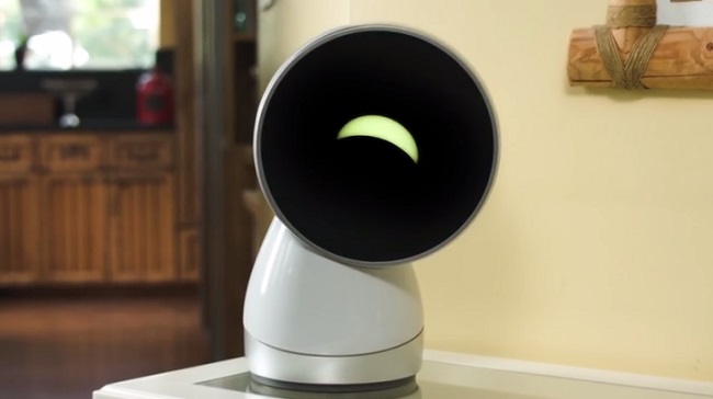 jibo robots