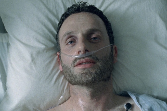 rick grimes incoma