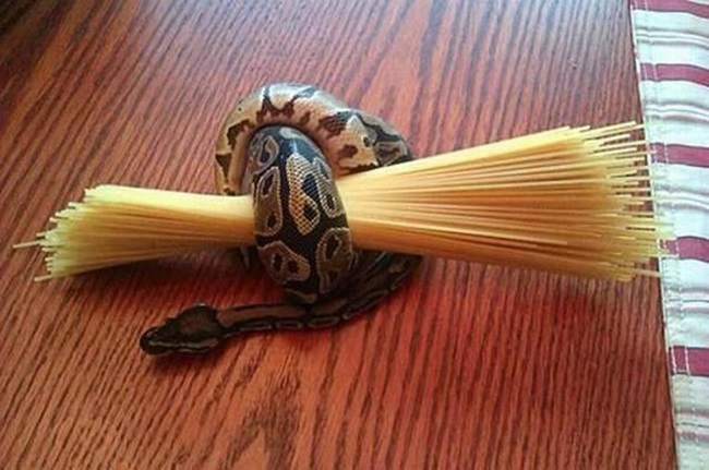 Use snake to hold your pasta