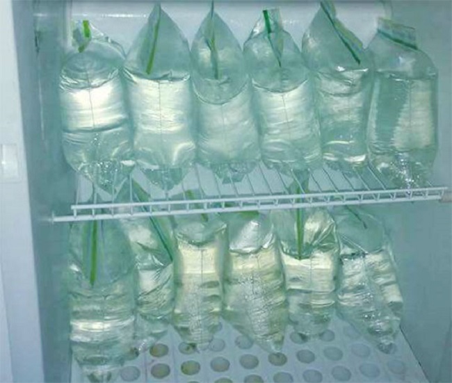 water in the fridge