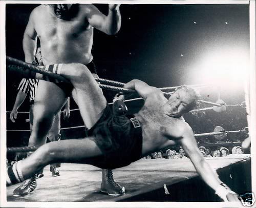 Andre the giant threw Chuck Wepner outside the ring