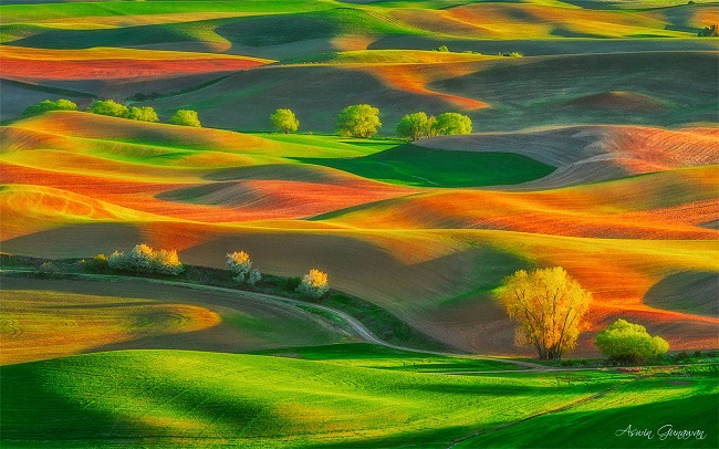 Beautiful landscape in Spring