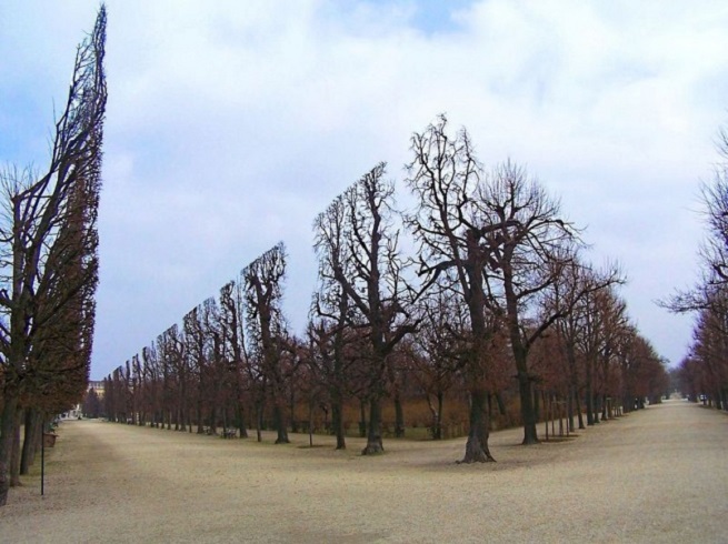 Perfectly aligned trees