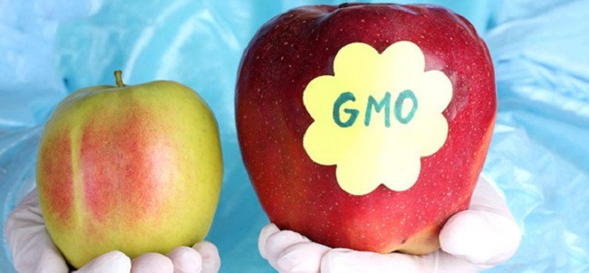 Products containing GMO are dangerous