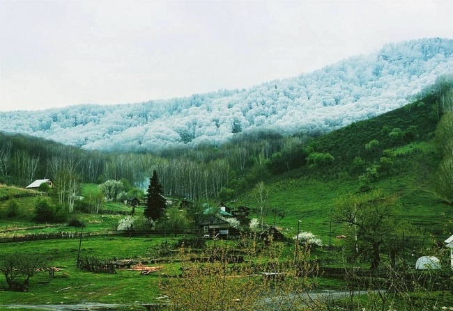 Snow line in Altai Mountains