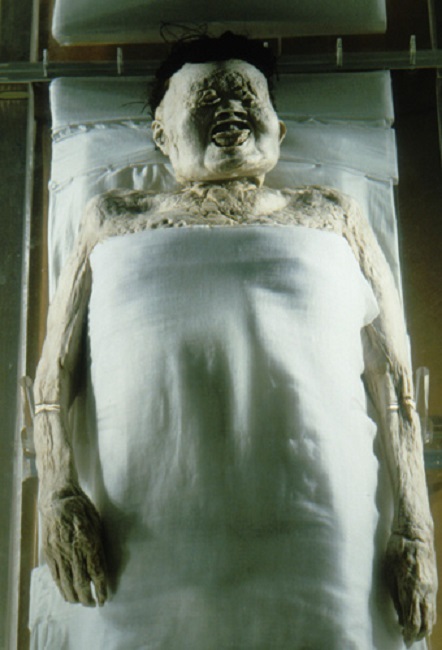 The mummy appeared as if it was buried recently