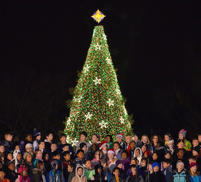 Town Christmas Trees