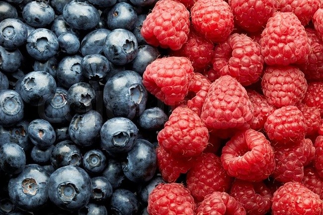 Blueberries can be consumed on empty stomach