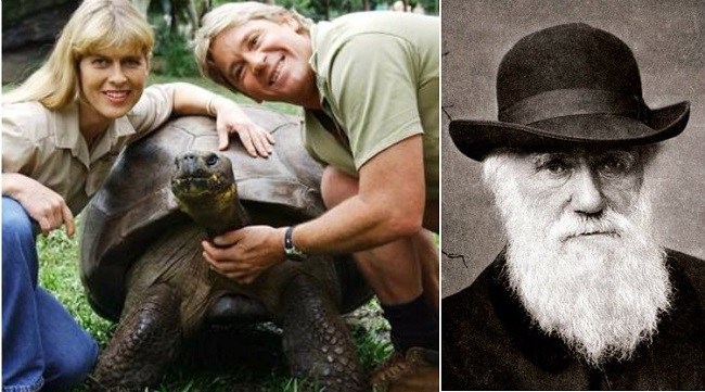 Darwin died in 1882 but his pet tortoise died in 2006