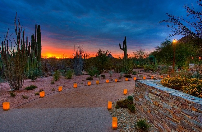 Desert Botanical Garden