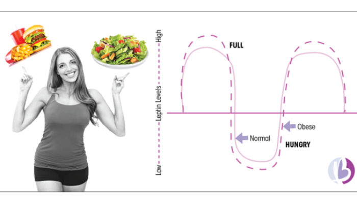 Fix Your Leptin