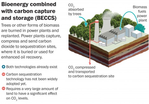 How viable is this Bioenergy