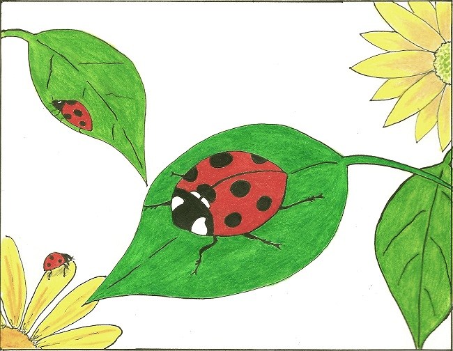 Ladybird, Ladybird, Fly Away Home