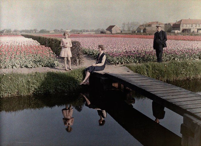 Tulip farms 1931