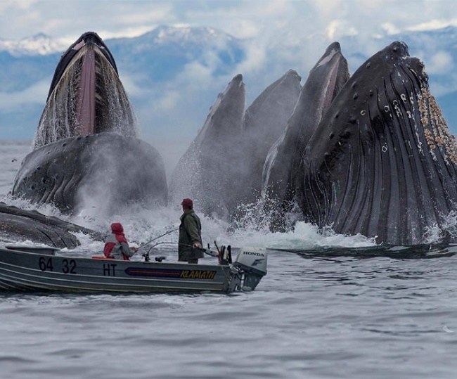 These 10 terrifying images of the Ocean are sure to give you nightmares - page 4