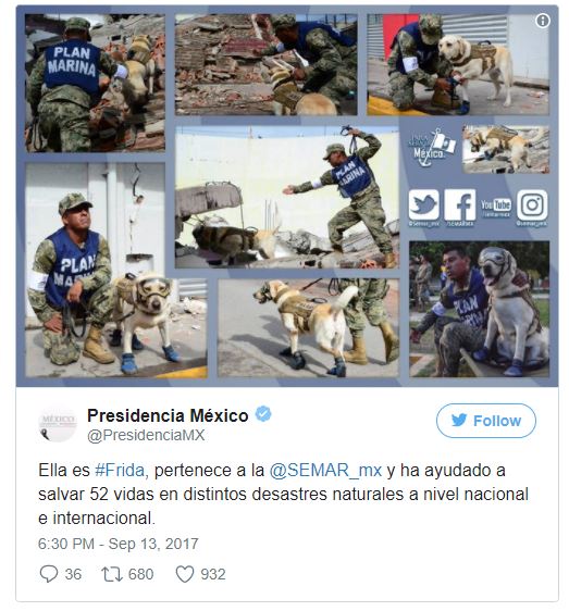 Frida Honored by the president on Twitter