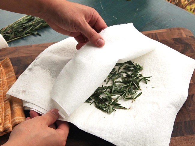 Preserving herbs 