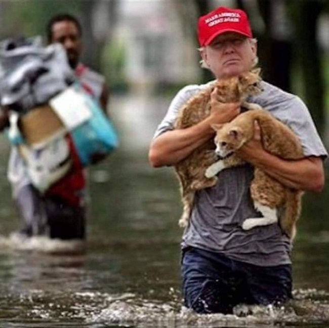 Trump saved two cats