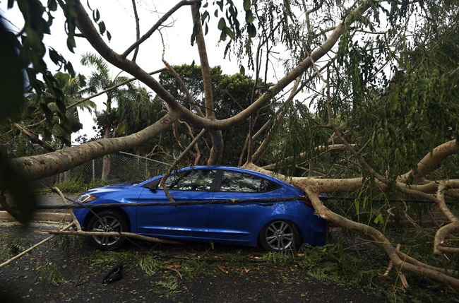 aftermath of Hurricane Irma