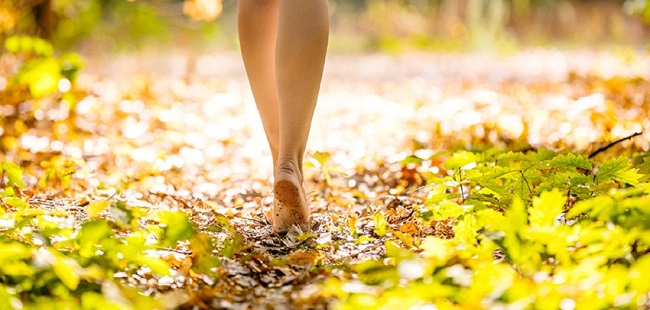 walking barefoot in the woods