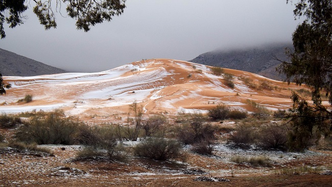 Rare snowfall