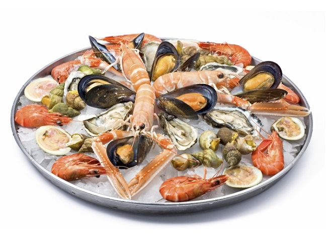 Shellfish