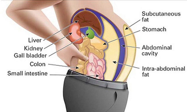 Women gain fat faster and lose weight slower than men