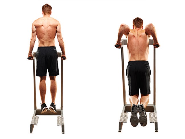 Assisted parallel bar dips