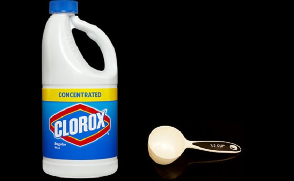 bleach kills bacteria