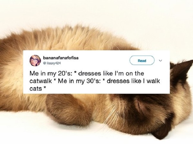 Dress like a cat when in 30s