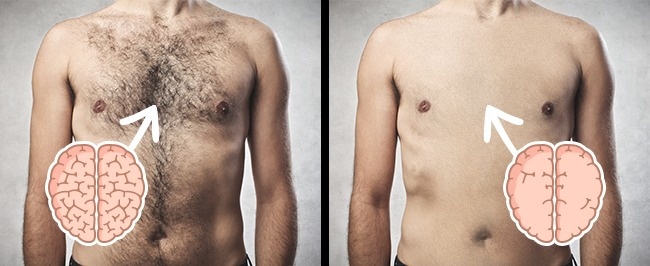 Research links body hair to intelligence