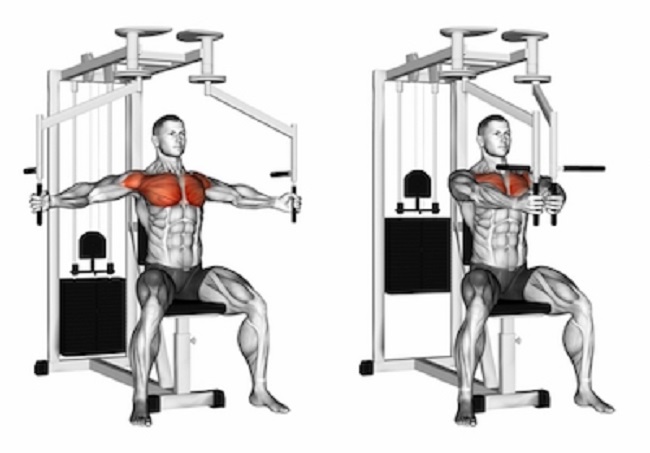 Seated Pec Fly