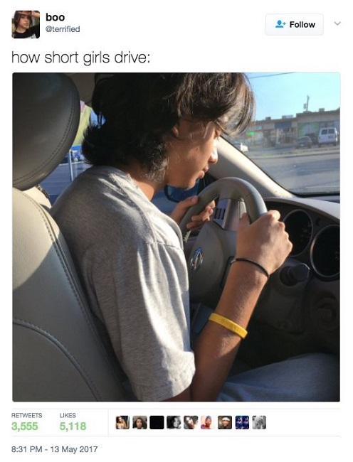 short girl driving