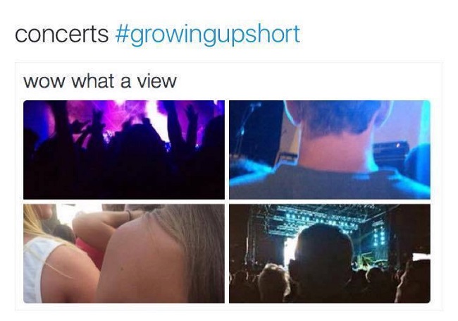 short people at concert