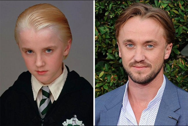 Tom Felton (Draco Malfoy)