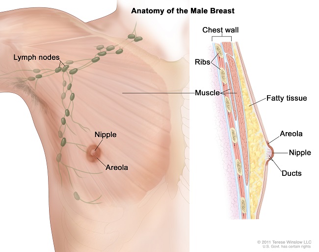 Understanding the symptoms of male breast cancer is important