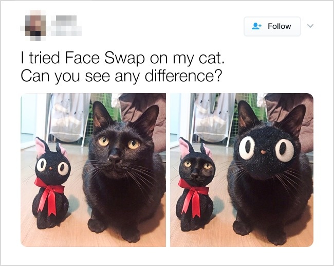 When you try a face switch