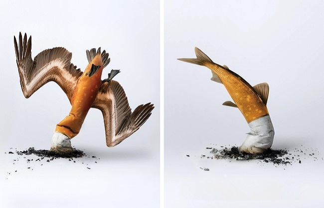 “Cigarettes butts are crashing our eco-system”