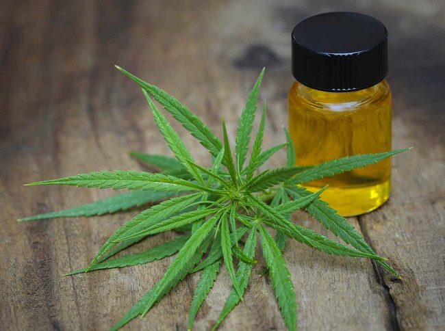 cannabis oil