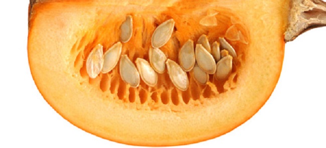 Cucurbita pepo (pumpkin seed)