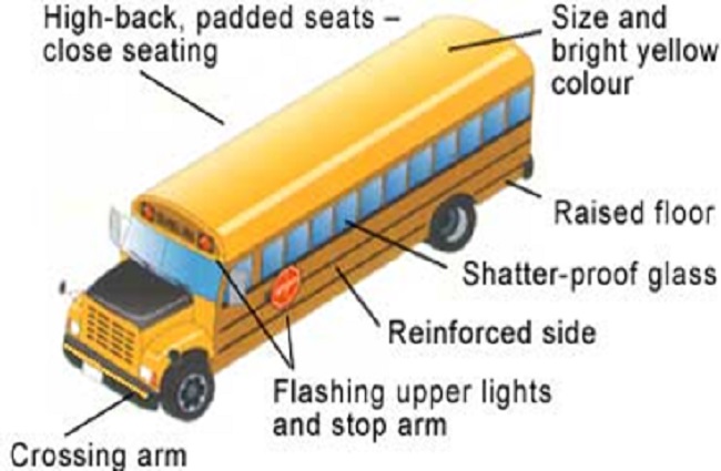 School buses are extremely visible