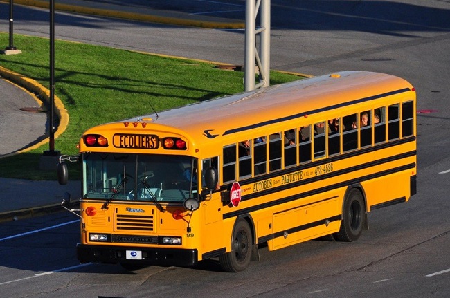 school buses dont have seatbelts