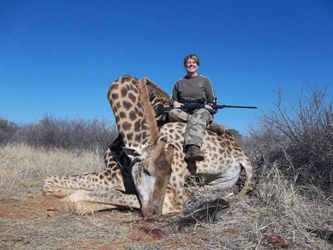 Giraffes being killed by trophy hunters