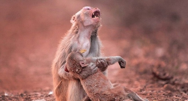 Mother Cries Over Her Baby