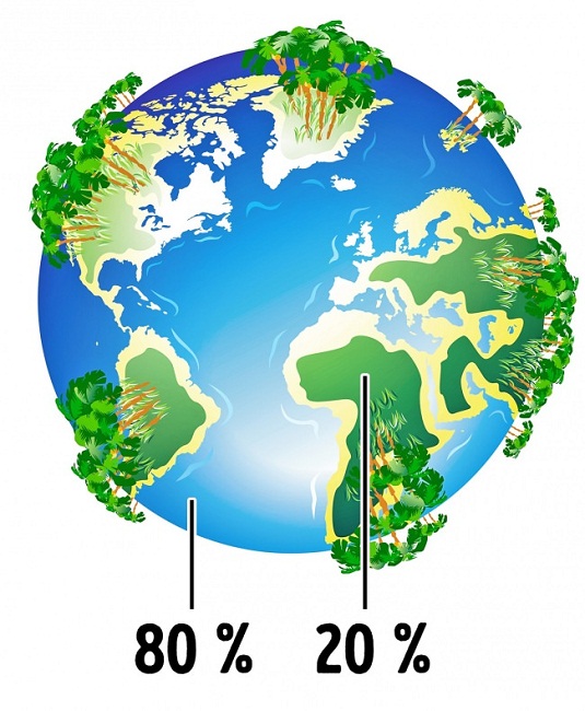 oxygen is produced by the ocean, not trees